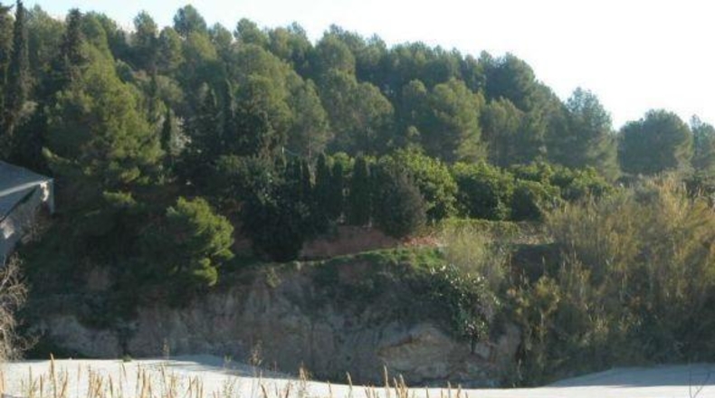 Alicante - Callosa de Ensarriá - 15407m2