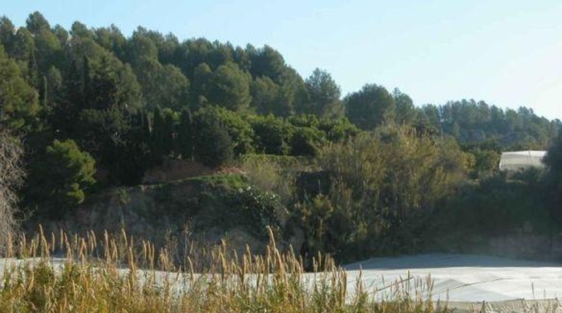 Alicante - Callosa de Ensarriá - 15407m2