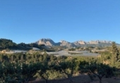 Non-developable land for sale on España, Callosa d'en Sarrià, ref: TR380890 photo