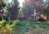 Non-developable land for sale on España, Callosa d'en Sarrià, ref: TR380890 photo