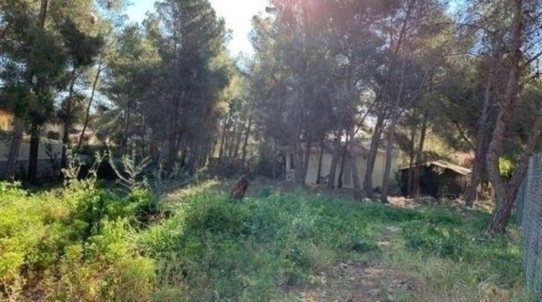Alicante - Callosa de Ensarriá - 15407m2