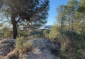 Non-developable land for sale on España, Callosa d'en Sarrià, ref: TR380890 photo