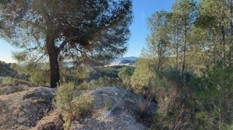 Alicante - Callosa de Ensarriá - 15407m2