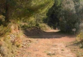 Non-developable land for sale on España, Callosa d'en Sarrià, ref: TR380890 photo