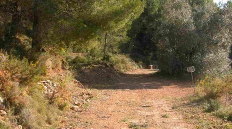 Alicante - Callosa de Ensarriá - 15407m2