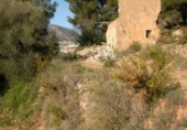 Non-developable land for sale on España, Callosa d'en Sarrià, ref: TR380890 photo