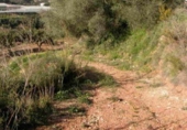 Non-developable land for sale on España, Callosa d'en Sarrià, ref: TR380890 photo