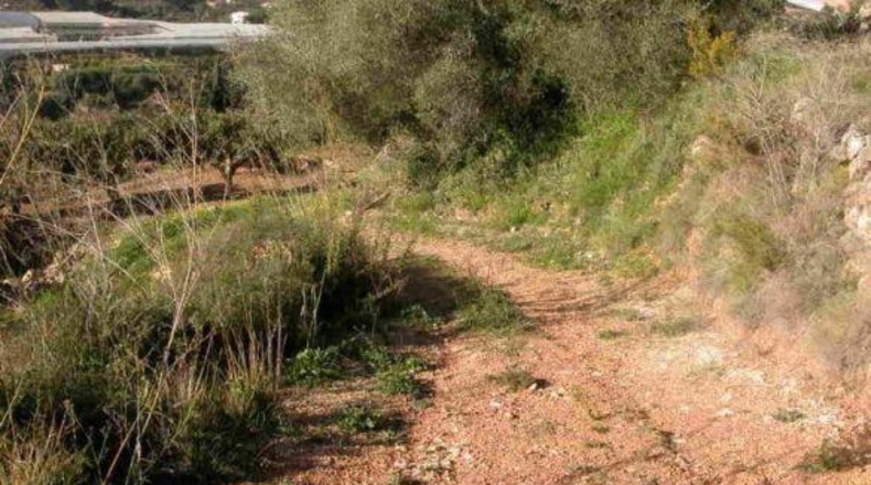 Alicante - Callosa de Ensarriá - 15407m2