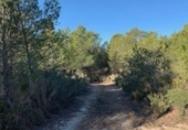 Non-developable land for sale on España, Callosa d'en Sarrià, ref: TR380890 photo