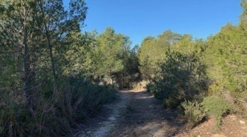 Alicante - Callosa de Ensarriá - 15407m2