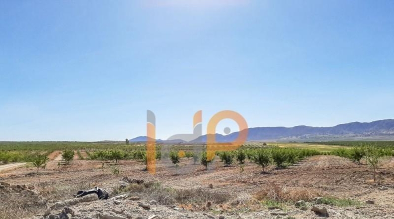 Almería - Chirivel - 20000m2