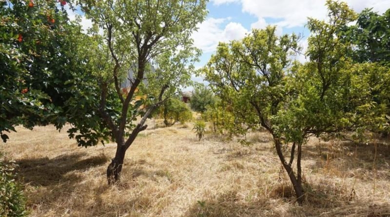 Córdoba - Belmez - 3000m2