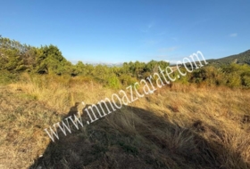 Muneta 1909&nbsp;m²