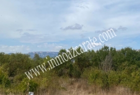 Muneta 1909&nbsp;m²