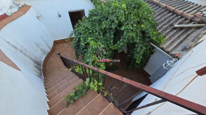 Córdoba - Alcaracejos - 259m2