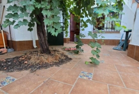 Alcaracejos 259&nbsp;m² 