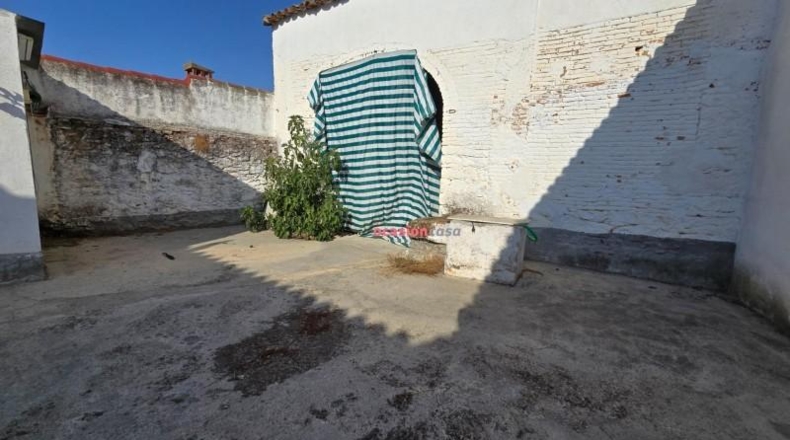 Córdoba - Alcaracejos - 259m2