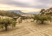 Casa de camp amb terreny en venda a la España, Ricote, ref.: TR268677 foto