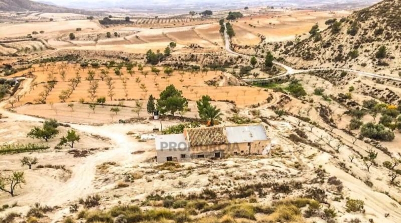 Múrcia - Ricote - 75000m2