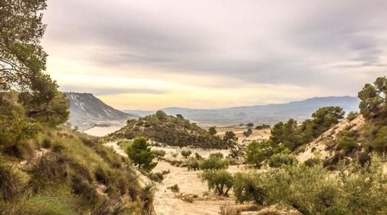 Múrcia - Ricote - 75000m2