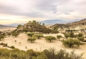 Casa de camp amb terreny en venda a la España, Ricote, ref.: TR268677 foto