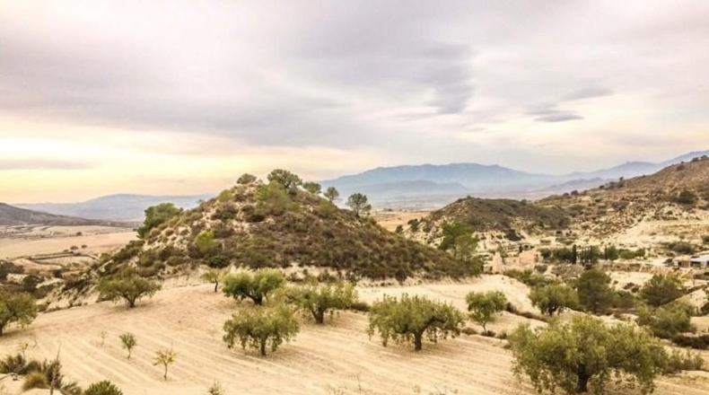Múrcia - Ricote - 75000m2