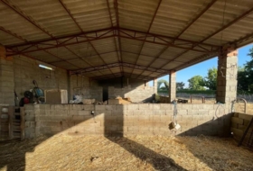 Foto 8