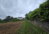 Land suitable for development for sale on España, Moaña, ref: TR315431 photo