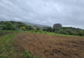 Land suitable for development for sale on España, Moaña, ref: TR315431 photo