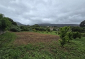 Land suitable for development for sale on España, Moaña, ref: TR315431 photo