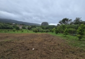 Land suitable for development for sale on España, Moaña, ref: TR315431 photo