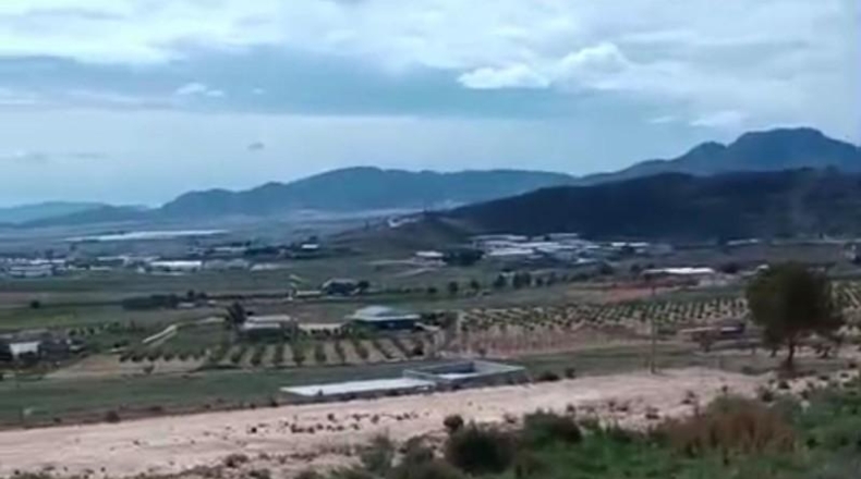 Murcia - Jumilla - 19000m2