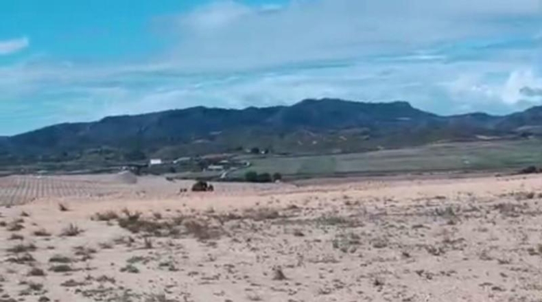 Murcia - Jumilla - 19000m2