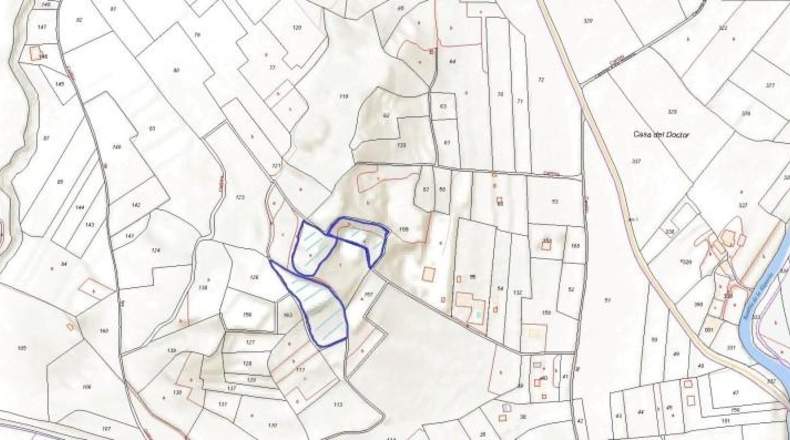 Murcia - Jumilla - 19000m2