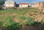 Casa de camp amb terreny en venda a la España, Múrcia, ref.: TR277414 foto
