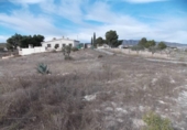 Non-developable land for sale on España, Monóvar, ref: TR375960 photo