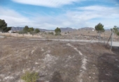 Non-developable land for sale on España, Monóvar, ref: TR375960 photo