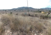 Non-developable land for sale on España, Monóvar, ref: TR375960 photo
