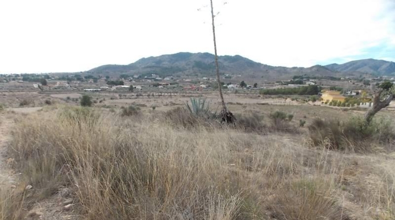 Alicante - Monóvar - 43236m2