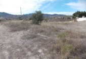 Non-developable land for sale on España, Monóvar, ref: TR375960 photo