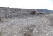 Non-developable land for sale on España, Monóvar, ref: TR375960 photo