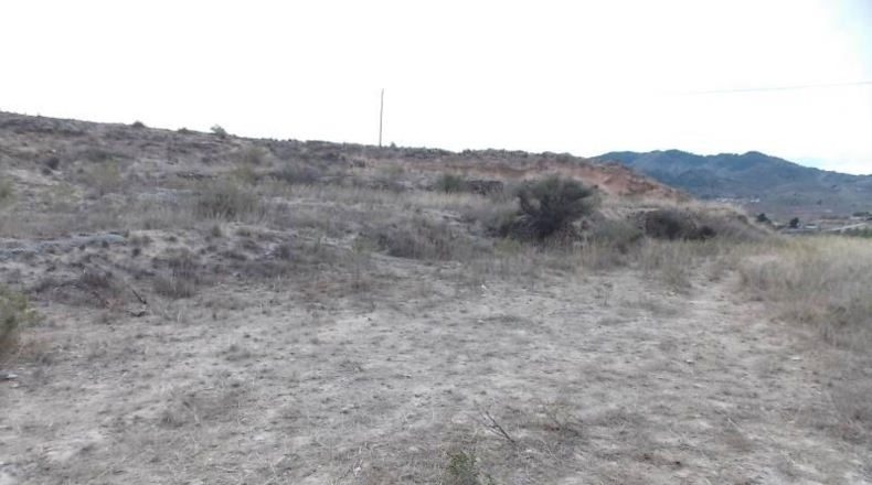 Alicante - Monóvar - 43236m2