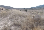 Non-developable land for sale on España, Monóvar, ref: TR375960 photo