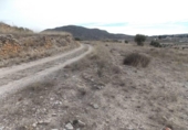 Non-developable land for sale on España, Monóvar, ref: TR375960 photo