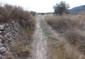 Non-developable land for sale on España, Monóvar, ref: TR375960 photo