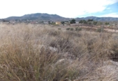 Non-developable land for sale on España, Monóvar, ref: TR375960 photo