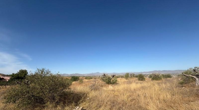 Murcia - Lorca - 7193m2