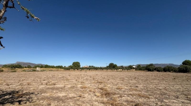 Murcia - Lorca - 7193m2