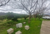 Detached villa with land for sale on España, Xerta, ref: TR339186 photo
