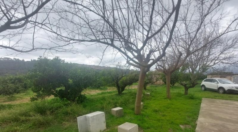 Tarragona - Xerta - 6188m2